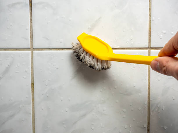 Best Mold Removal Near Me  in Westway, TX